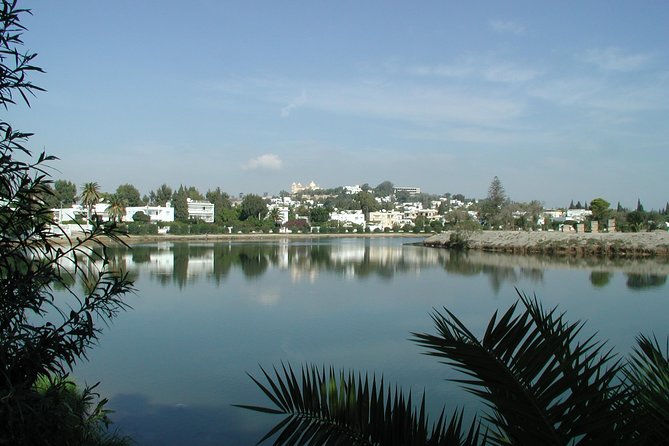 1/2 day carthage & sidi bou said - A Half-Day Route Through Carthage and Sidi Bou Said