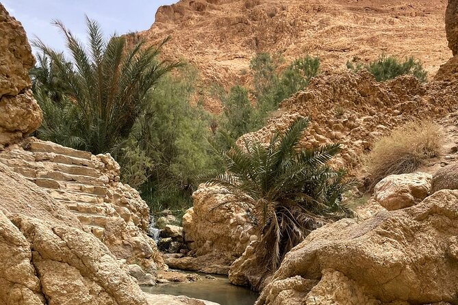 2 Days Tour of the Sahara from Hammamet - Douz arrival, dunes sunset, pool time, and a 4-star base