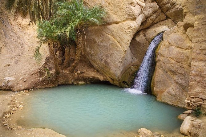 3-Day South of Tunisia Guided Tour from Tunis - Kairouan’s medina and the Great Mosque stop (Day 3)