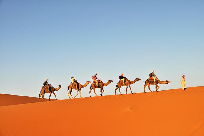 3-Day Tunisia Sahara Desert Camel Trek from Douz - Douz to the desert: why this start makes sense