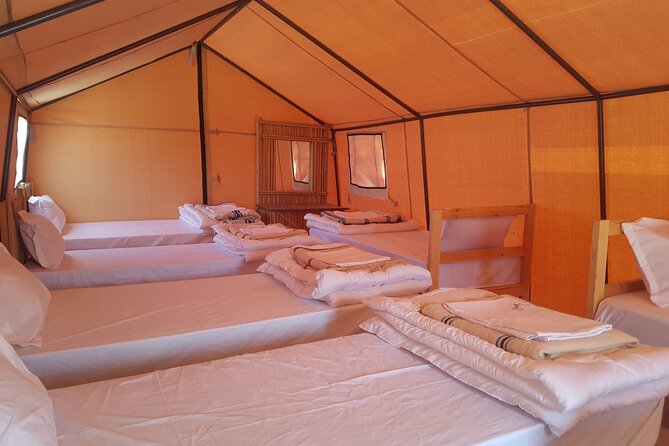 3-Day Tunisia Sahara Desert Camel Trek from Douz - Day 2: sunrise camel ride, Berber breakfast, Bedouin lunch, then sunset riding