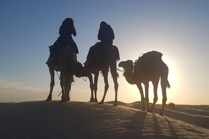 3-Day Tunisia Sahara Desert Camel Trek from Douz - Day 3: coffee aroma, sunrise again, and back to Douz around 11:00 am