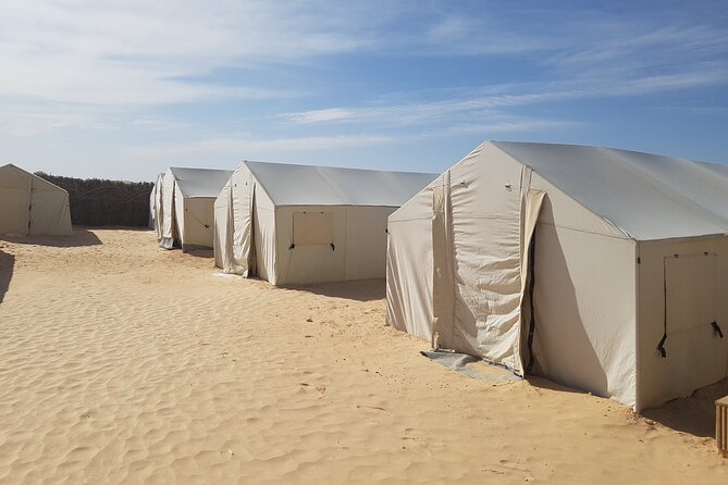 3-Day Tunisia Sahara Desert Camel Trek from Douz - Camels, cameleers, and why the guide can make or break it