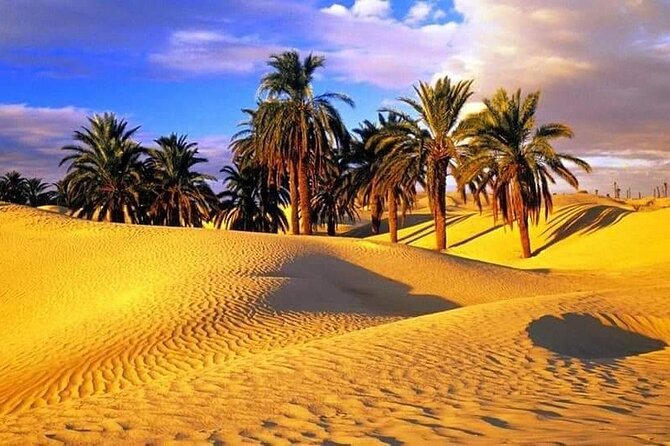 4-Day Private Tour: Sahara and Djerba Island from Tunis and Hammamet - Quad excursion at Ksar Ghilane: optional, budget it, decide fast