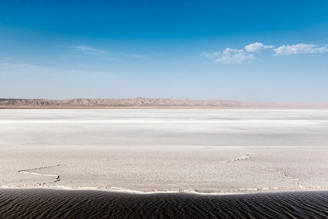 4 Days Tunisia Discovery Private Tour - Day 2: Chebika and Tamerza waterfalls, palm groves by carriage, then Chott el Djerid