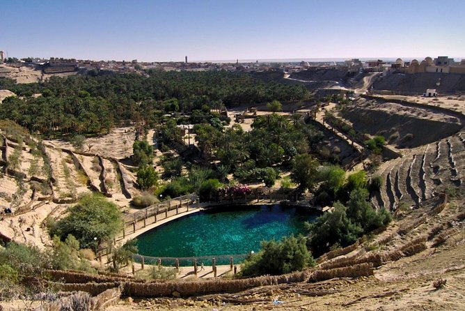 4 Days Tunisia Discovery Private Tour - Who this private tour is best for