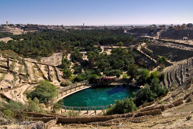 5 Days Tunisia Discovery Private Tour - Gabes and Jara Souk: the final tastes of Tunisia