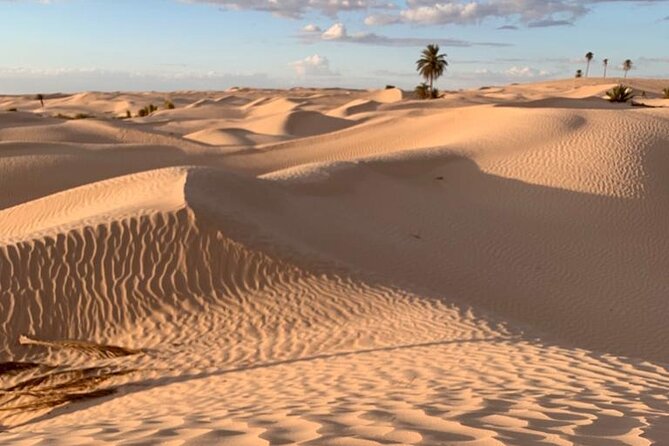 7 Day Guided Tunisia Tour Including Pickup - Why This 7-Day Tunisia Route Feels Efficient