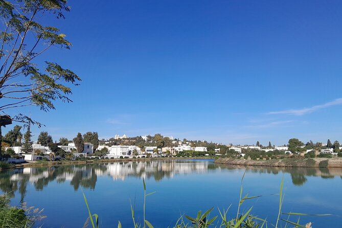 7 Day Guided Tunisia Tour Including Pickup - Price and Value: What You’re Really Paying For