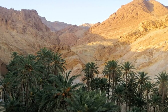 A Private Night at Desert Douz Tozeur - Day 2 Around Tozeur Governorate: Medina Souks, Chebika Oasis, Temegza Waterfall