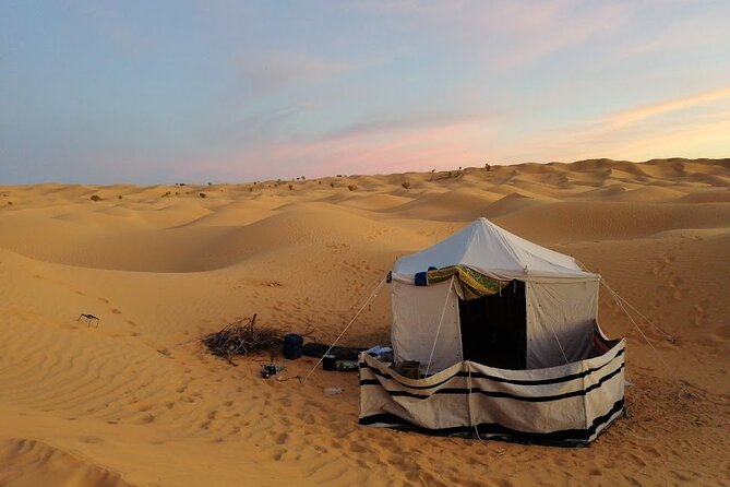 A Private Night at Desert Douz Tozeur - Who This Tour Fits Best