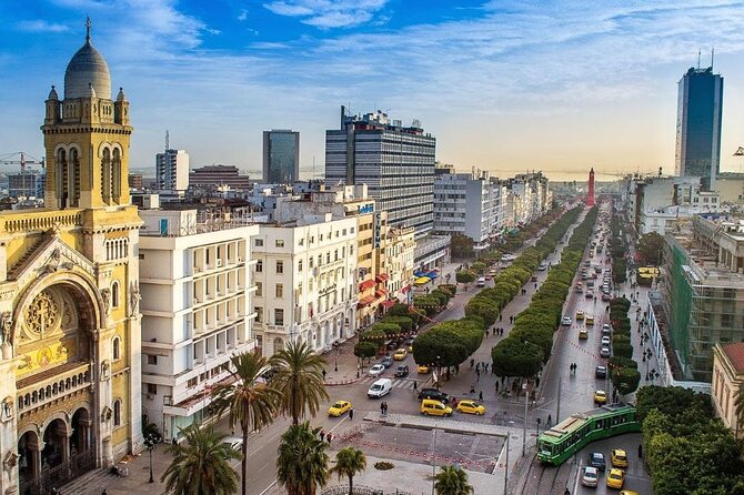 Airport Tunis Carthage Private Transfer to/from Hammamet - Your driver meets you, not a mystery pickup