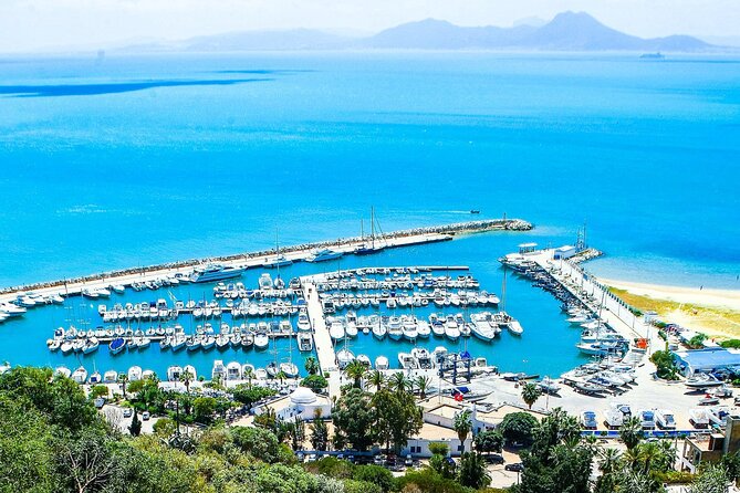 Ancient Carthage and Sidi Bou Said Half Day Tour with Lunch - Carthage’s Roman victory, told where it happened