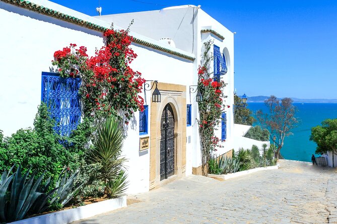 Ancient Carthage and Sidi Bou Said Half Day Tour with Lunch - A included lunch that works, but might not wow you