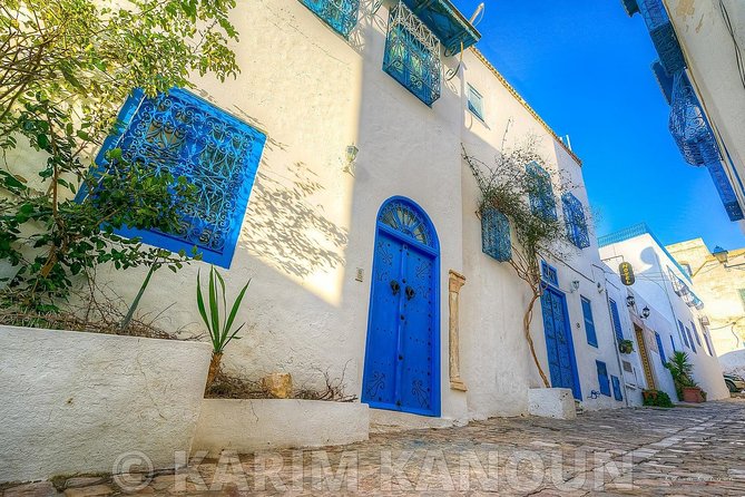 Bardo Museum- The ruins of Carthage- Village of Sidi Bou Said - National Bardo Museum in a beylical palace (about 2 hours)