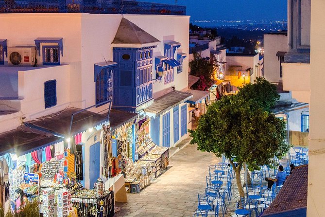 Bardo Museum- The ruins of Carthage- Village of Sidi Bou Said - Timing in an 8-hour day: how to survive all four stops