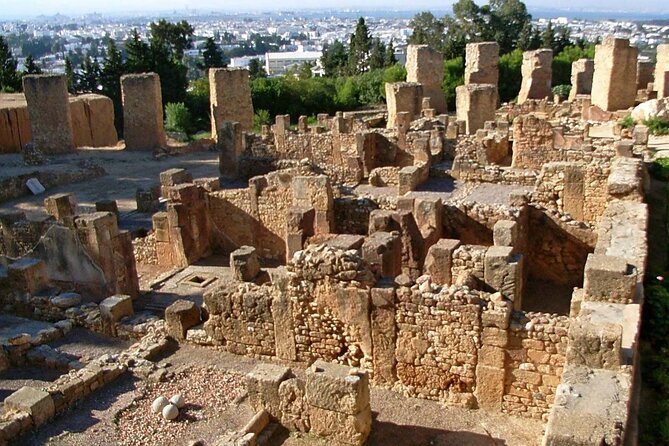 Bardo Museum with Medina, Carthage and Sidi Bou Private Tour - Carthage Archaeological Site: ruins with context, not just rocks