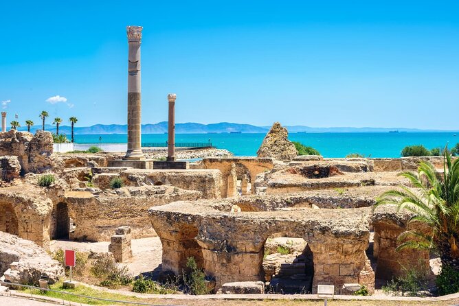 Bardo Museum with Medina, Carthage and Sidi Bou Private Tour - The National Bardo Museum: making 1 hour feel big
