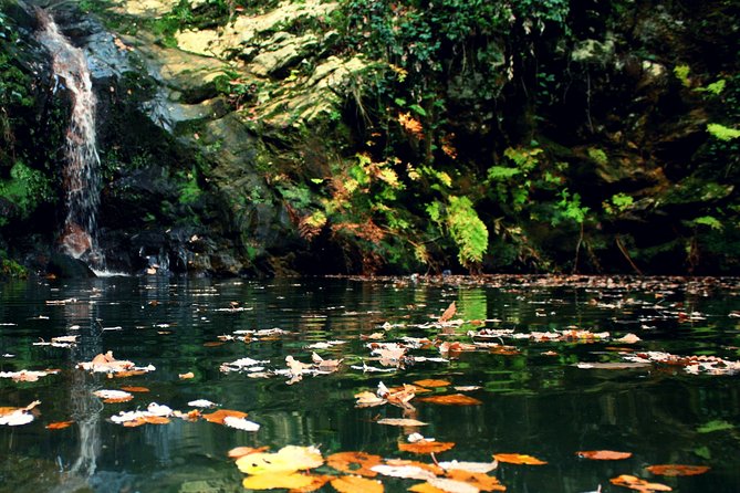 Bulla Regia and Beni Mtir Cascade Daytrip from Tunis - Who this tour fits best