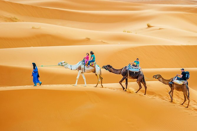 Camel & Quad Combo In Douz Sahara Desert - Douz Morning Logistics: Be Ready for an 8:00 Start
