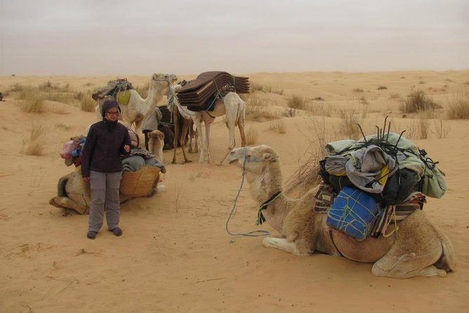 Camel ride and 1 night in the desert - Key Things I’d Book This For