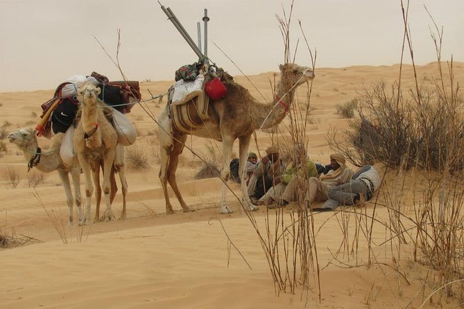 Camel ride and 1 night in the desert - Tozeur to Chott Djerid: A Salt Lake You Can Feel