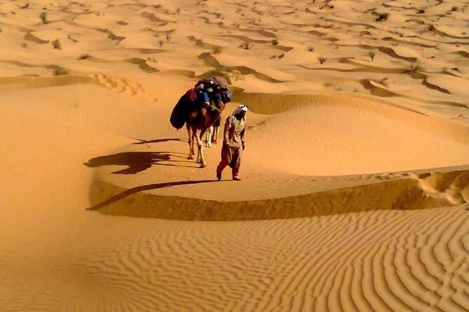 Camel ride and 1 night in the desert - Who This Camel Safari Fits Best