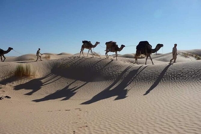 Camel ride and 1 night in the desert - Should You Book This Overnight Camel Safari From Tozeur?