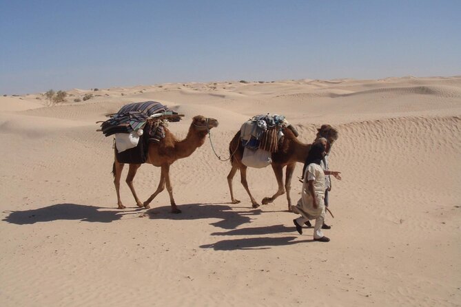 Camel ride and 1 night in the desert - FAQ