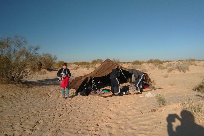 Camel ride and 1 night in the desert - Camel Riding With a Bedouin Cameleer: The Difference Maker