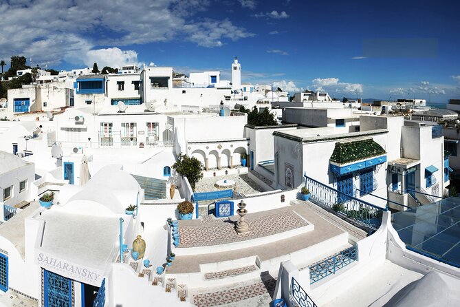Carthage, Bardo Museum, Sidi Bou Said and Medina Private Day Tour - Old Tunis route: Bab el Bhar, Zitouna Mosque, and the Medina walk