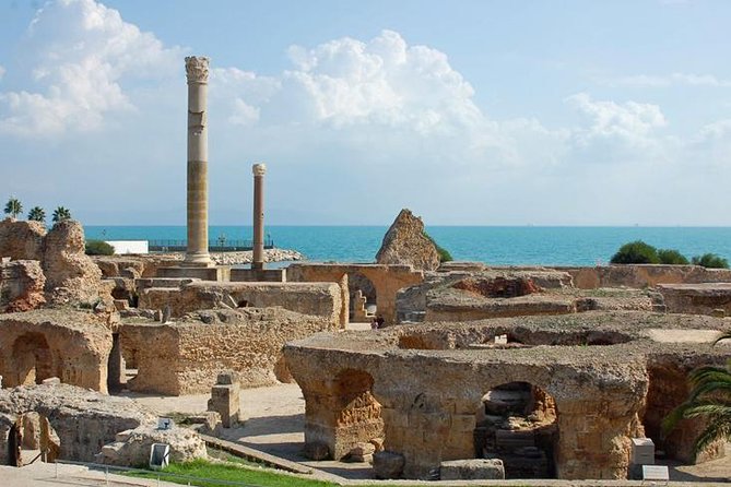 Carthage, Bardo Museum, Sidi Bou Said and Medina Private Day Tour - Price and options: what you should verify before you pay