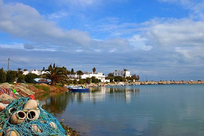 Carthage Discovery Half-Day Tour with Licensed Guide - Transfers, timing, and the reality of a condensed UNESCO day