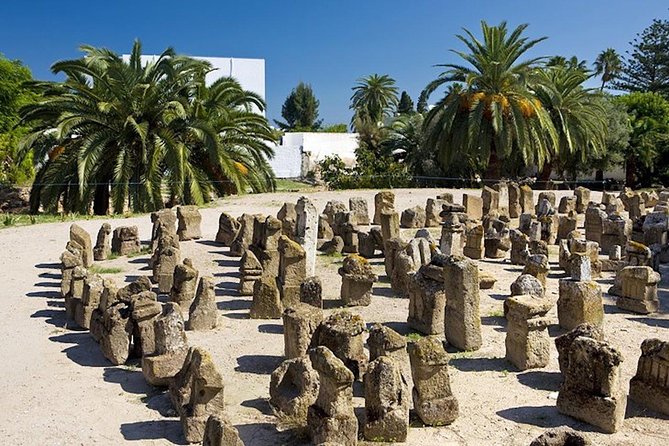 Carthage Discovery Half-Day Tour with Licensed Guide - Stop 2: Tophet de Carthage and the uncomfortable debate