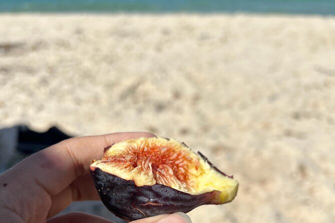 Cook and Connect: Tunisian Culinary Adventure with a Local Family - What you really get for $75.60: the value equation