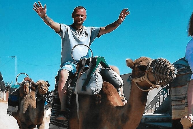 Cultural Experience of Bedouin Village in Mahdia - Price and value: when $35.14 feels right