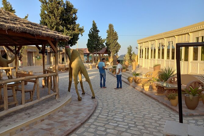 Cultural Experience of Bedouin Village in Mahdia - Getting back to the farm: refreshments, tea, and the pacing reset