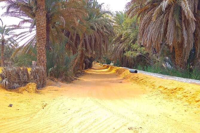 Day Trip in Ksar Ghilane with Lunch and Pickup - Key highlights to look for