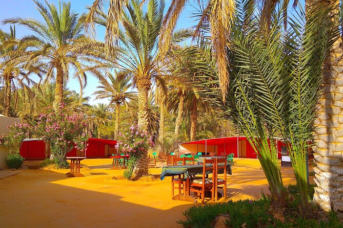 Day Trip in Ksar Ghilane with Lunch and Pickup - Leaving Djerba at 6:30 am, and why you want the early start