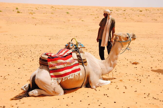 Day Trip in Ksar Ghilane with Lunch and Pickup - The Roman fort stop near Ksar Ghilane, and why it feels like a clue