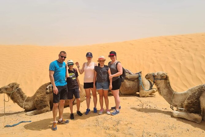 Day Trip in Ksar Ghilane with Lunch and Pickup - Price and value: $70.29 for the full loop