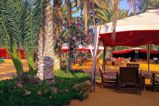 Day Trip in Ksar Ghilane with Lunch and Pickup - Who this day trip fits best (and who should skip it)