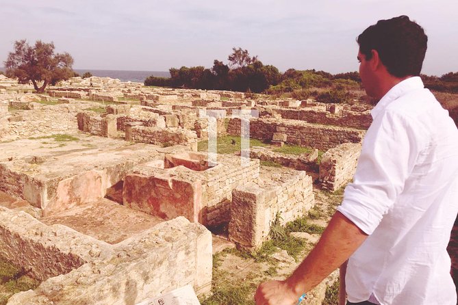 Day trip to Cape Bon - How this Cape Bon day trip runs from Hammamet