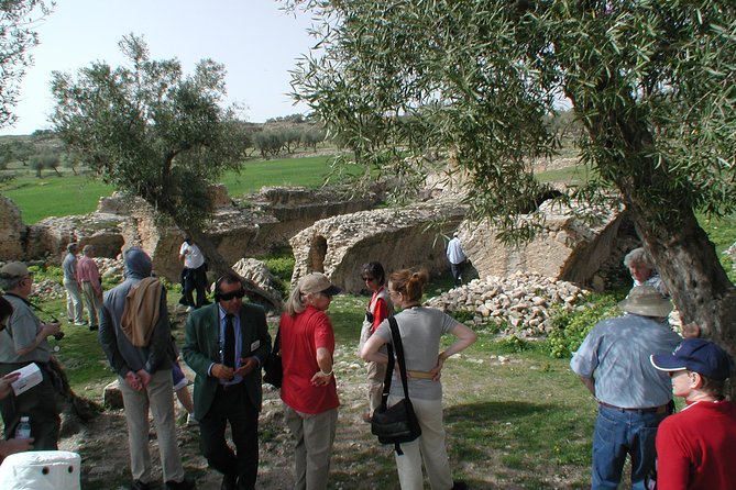 DAY TRIP TO Dougga & Bulla Regia , DEPARTURE FROM Tunis - Should You Book This Tour? My Clear Take