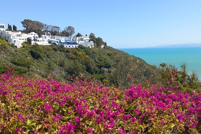 Daytrip Carthage Sidi Bousaid Bardo and Tunis Medina - Who should book this tour, and who might find it too much