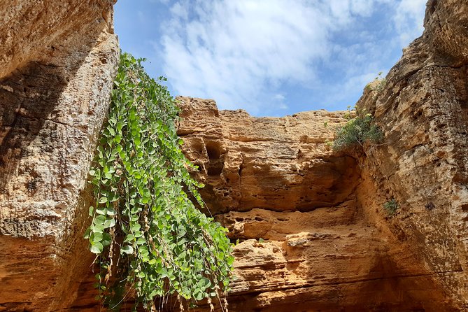 Daytrip to Kerkouen Unesco Site Kelibia and Houaria Caves - Key highlights to look for