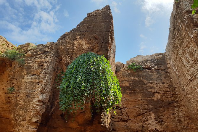 Daytrip to Kerkouen Unesco Site Kelibia and Houaria Caves - Ghar el Kebir and Haouaria caves: sea time with bird season context