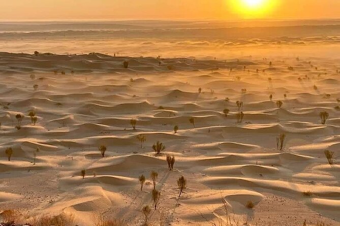 Desert tours and adventurous camel trekking through the Sahara - Entering the Desert From Djerba: Where the Trip Begins
