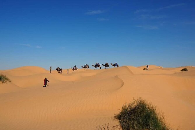 Desert tours and adventurous camel trekking through the Sahara - Those First Desert Hours in the Erg Oriental: The Feeling That Hooks People