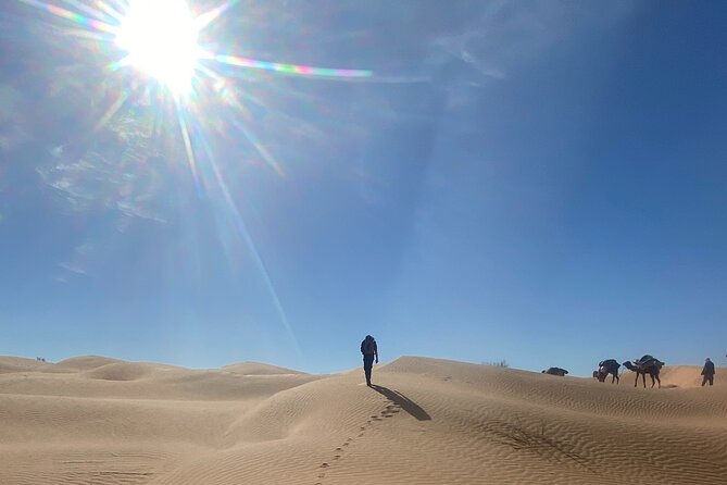Desert tours and adventurous camel trekking through the Sahara - Douz, the Gate of the Desert: Souks, Dates, and Desert People-Watching